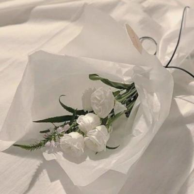 蜗牛转转转破解版下载